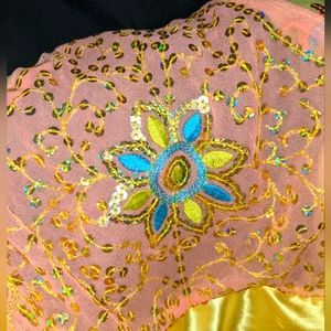 Vintage Indian Silk and Chaffon Hand Embroidered Net Cape